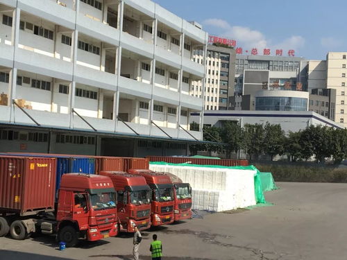 力天國(guó)際物流給您拜年啦 感謝社會(huì)各界領(lǐng)導(dǎo) 客戶及朋友們的厚愛與支持,堅(jiān)持物流產(chǎn)品經(jīng)營(yíng)理念繼續(xù)前行