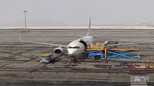 新疆國際貨運包機業務全面恢復，為國際物流注入新動能